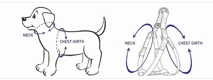 STEP IN FLORAL BUNDLE - LIGHT PINK (6 pieces)