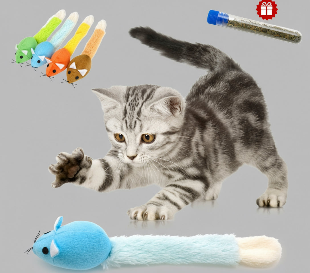 Japanese Catmint toys