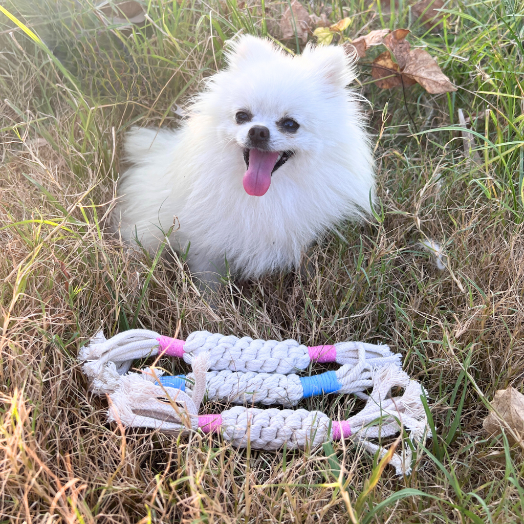 Rainbow Candy Macrame Rope Pet Toy