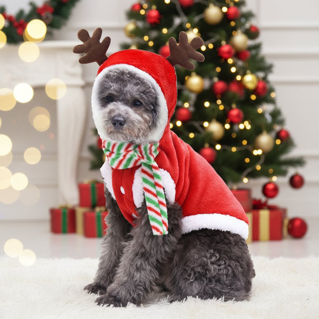 Cozy Canine Christmas Sweater