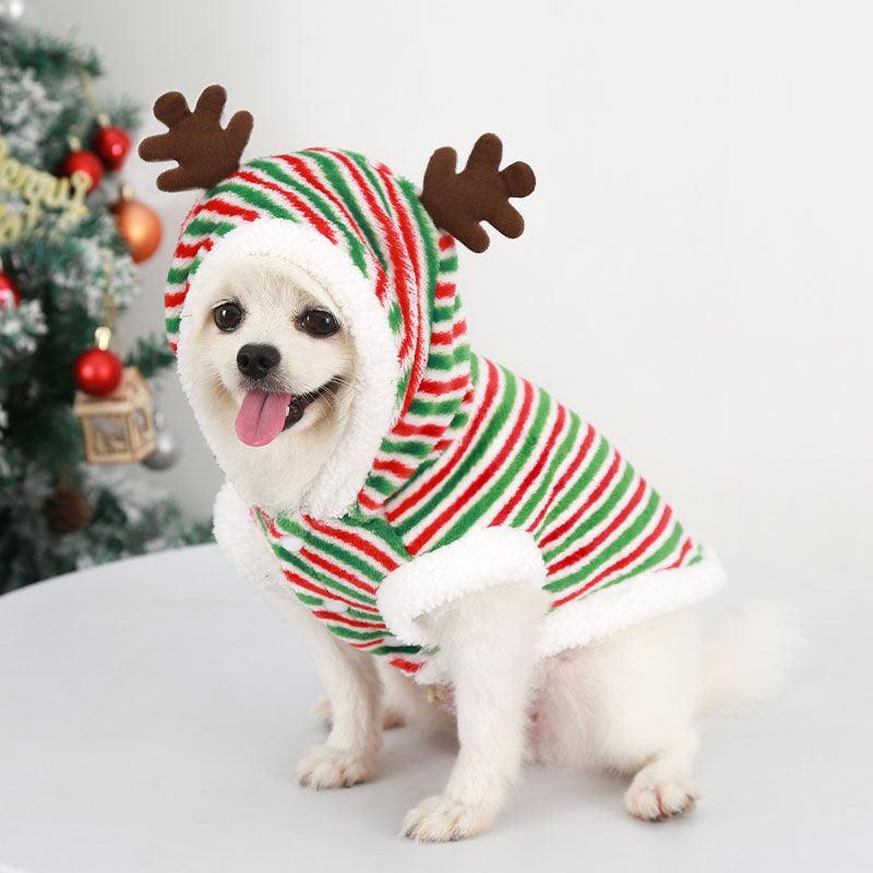 Cozy Canine Christmas Sweater