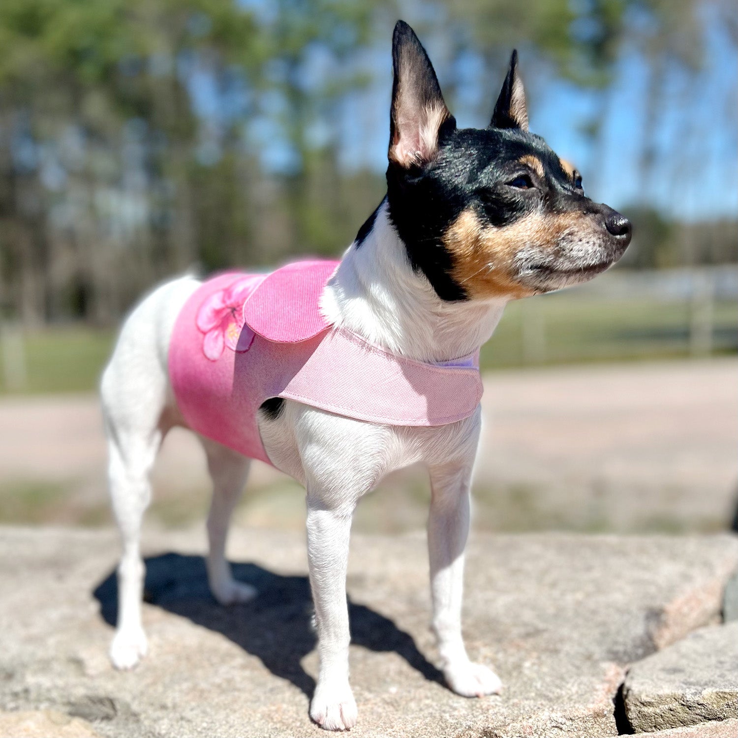 DCNY “Spring Blossoms 2” Vest-Style Harness