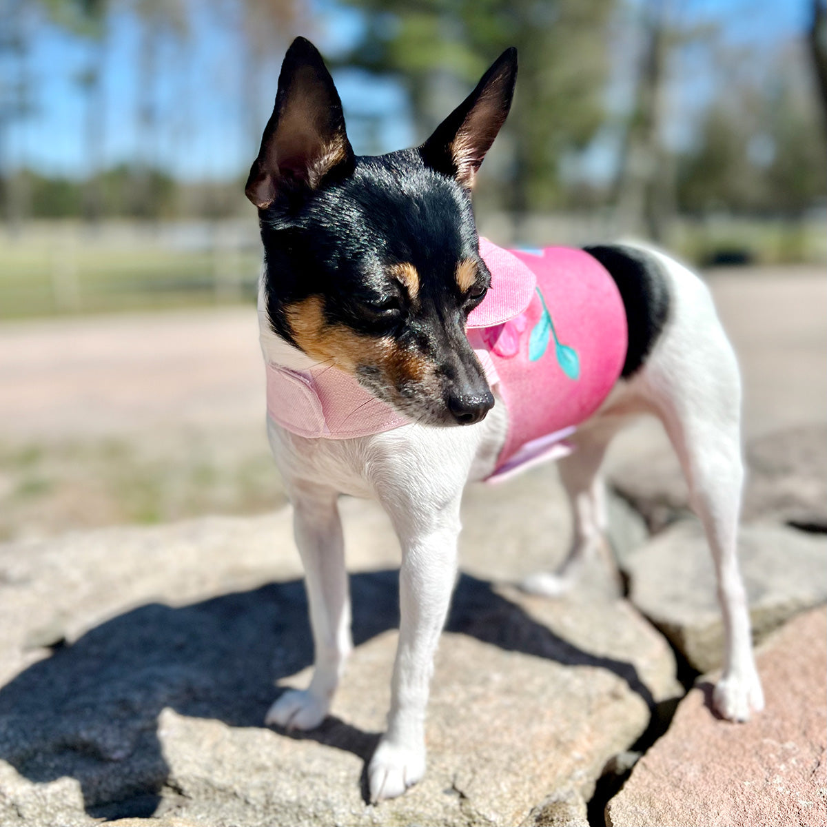 DCNY “Spring Blossoms 2” Vest-Style Harness